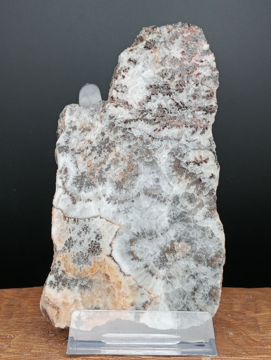 Dendriet Agaat Schijf