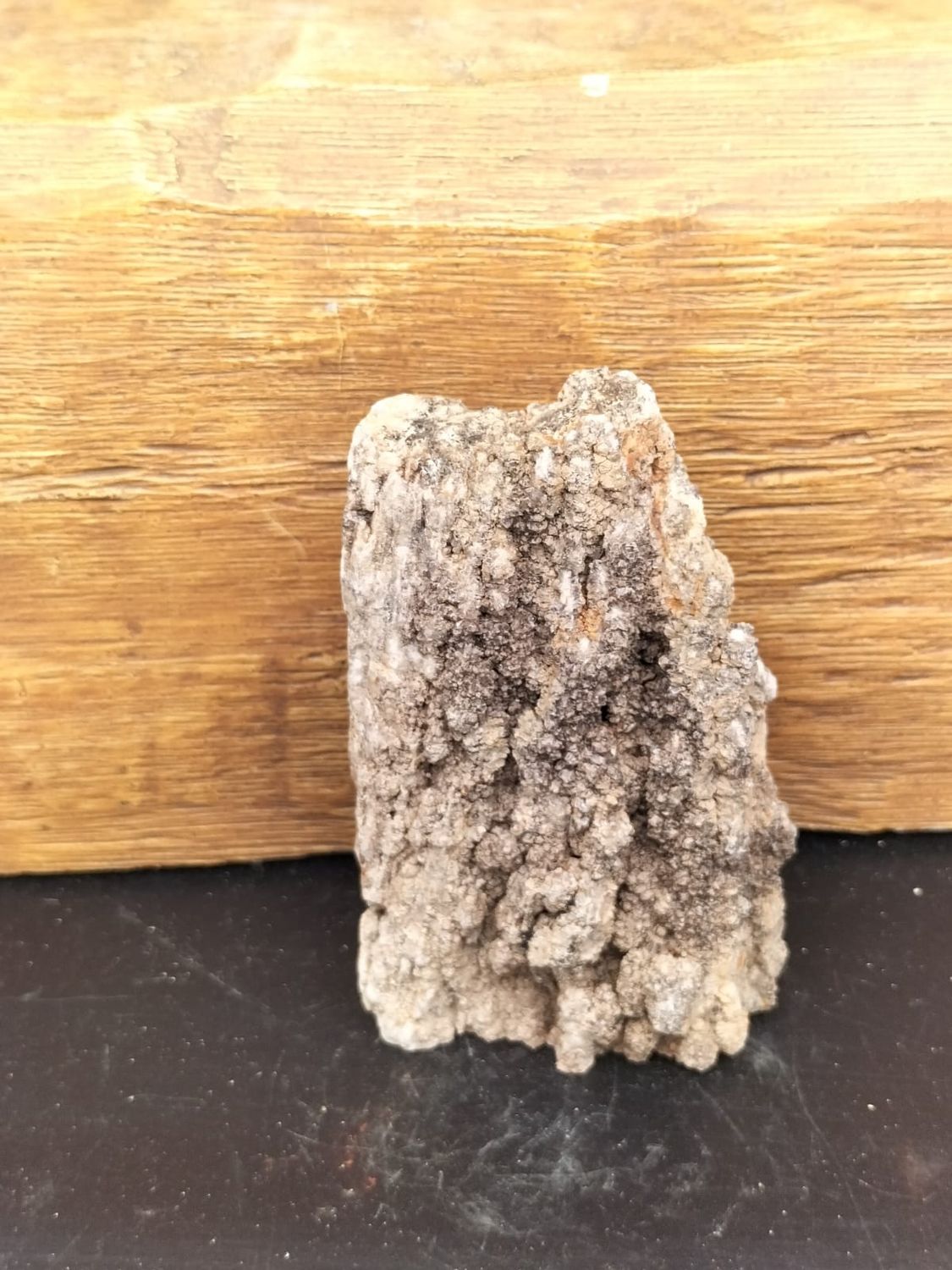 Versteend Hout Druzy