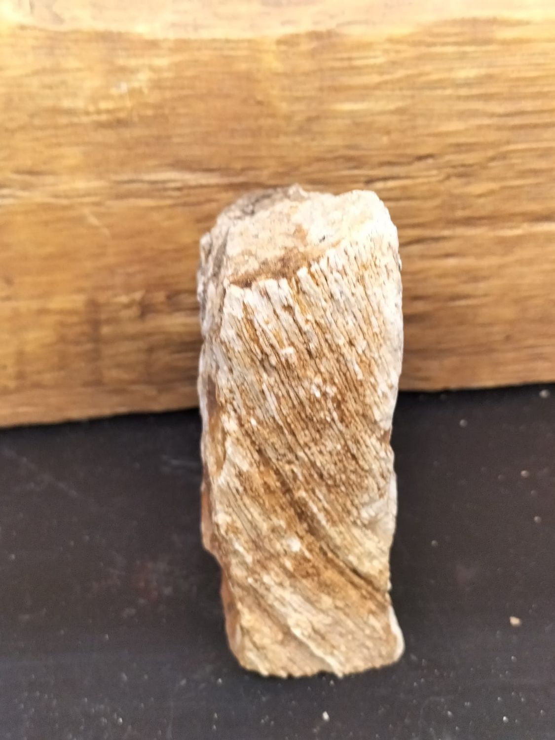 Versteend Hout Druzy