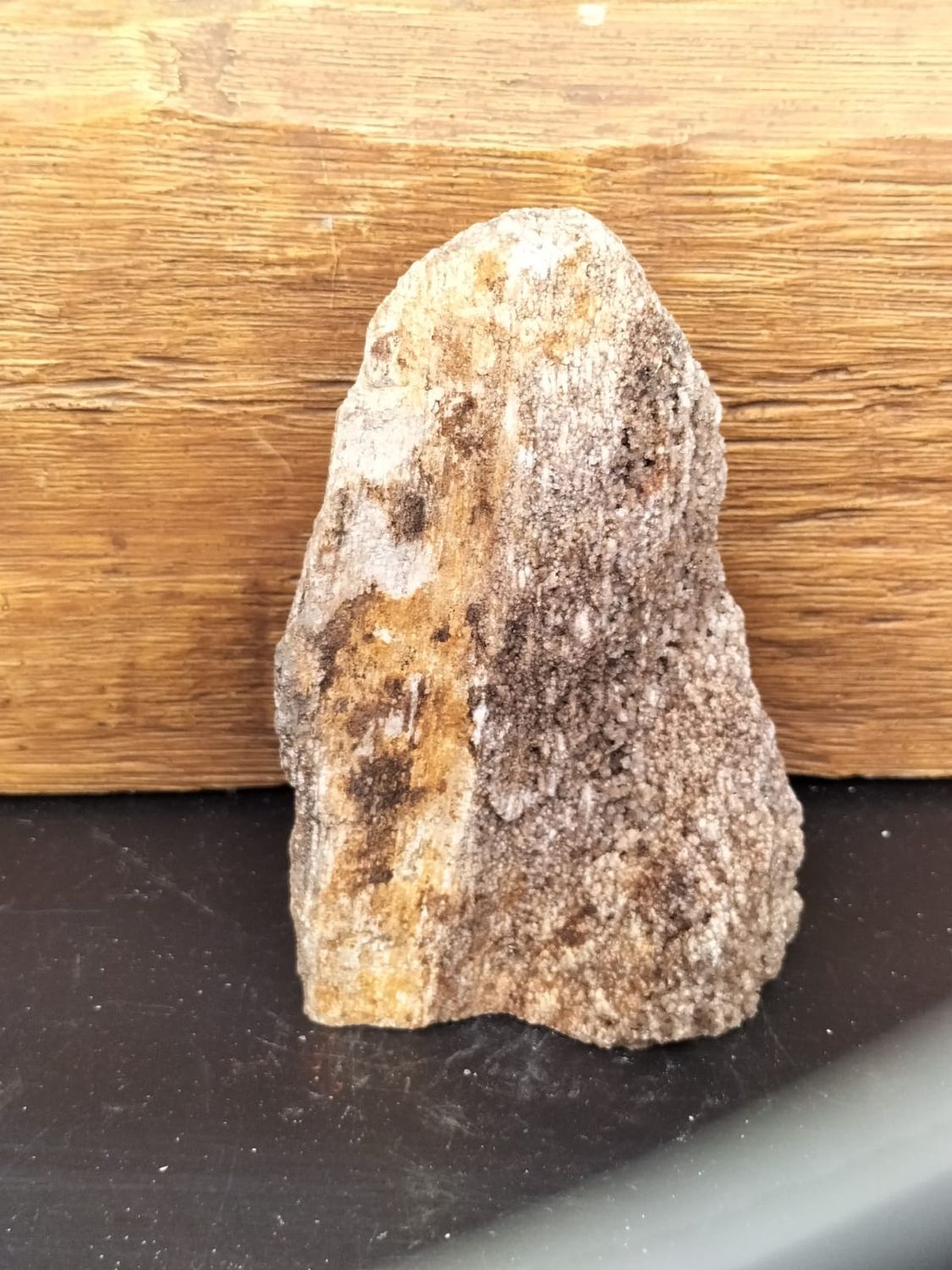 Versteend Hout Druzy