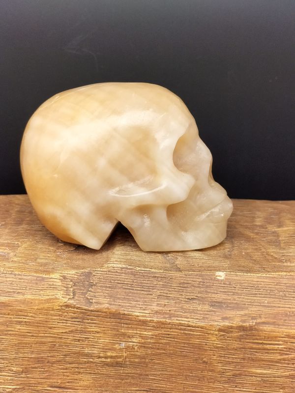 Honing Calciet Skull