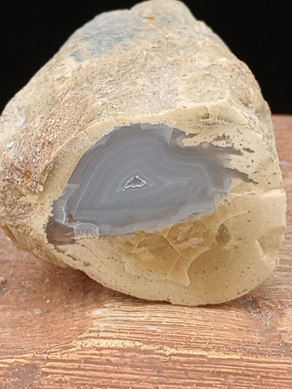 Geagatiseerd Hout