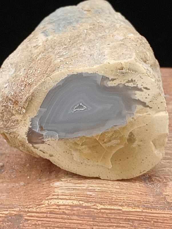 Geagatiseerd Hout