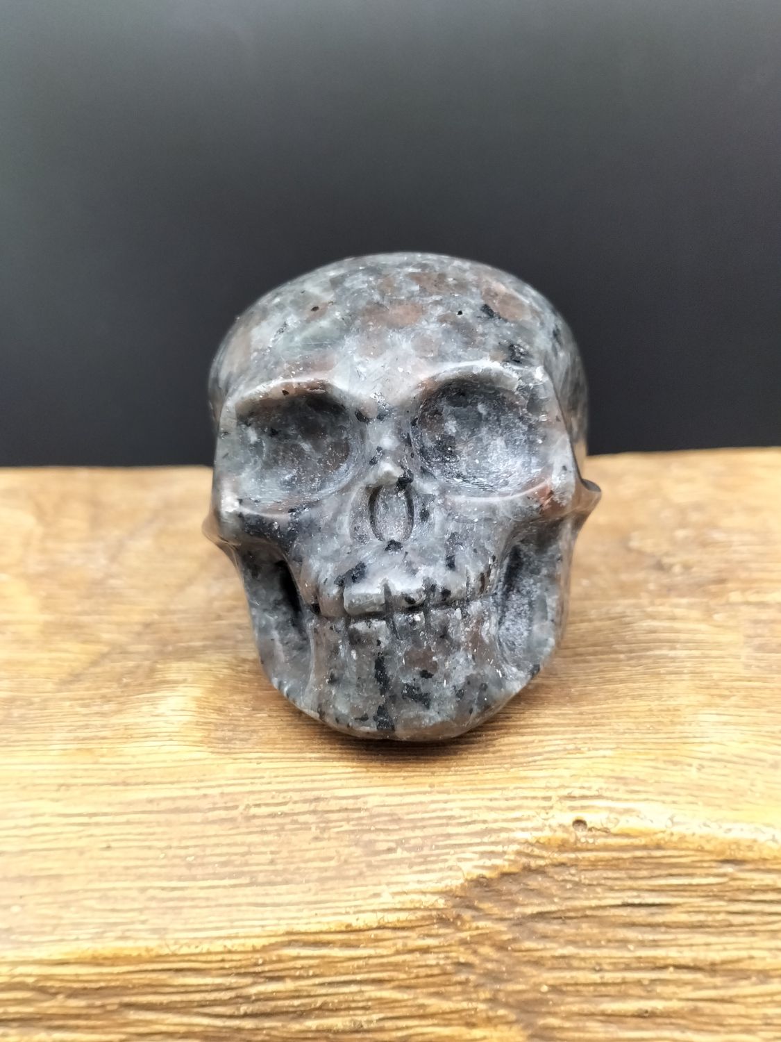 Yooperlite Skull