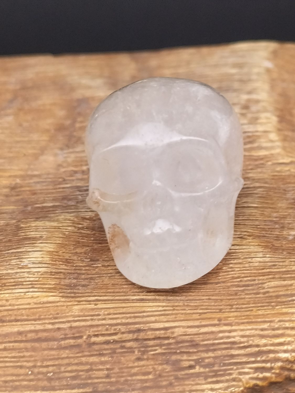 Melkkwarts mini skull