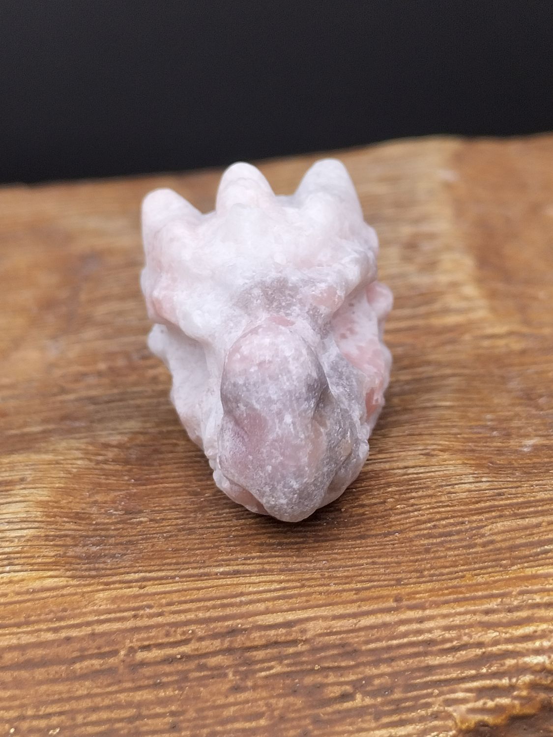Calciet mini drakenkop