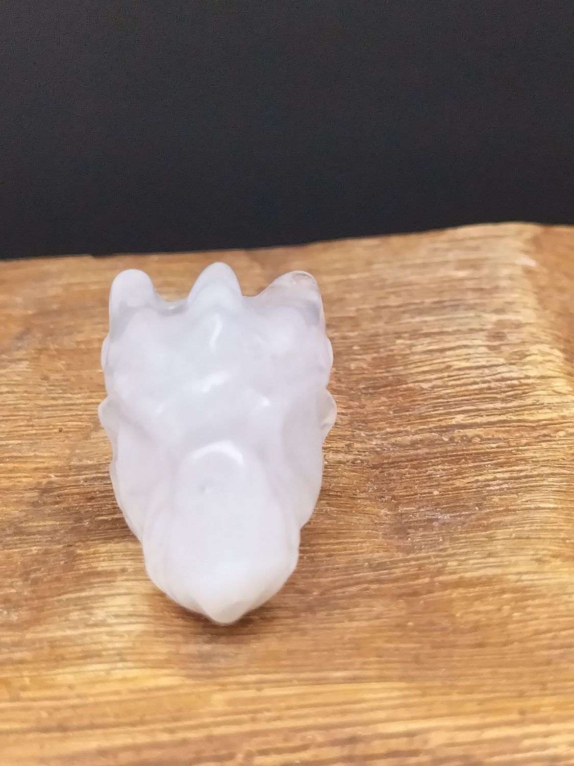 Melkkwarts mini drakenkop
