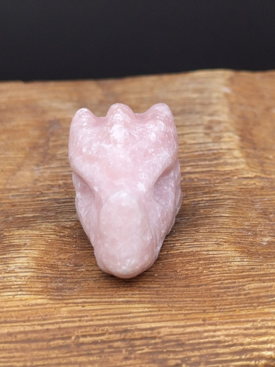 Calciet mini drakenkop