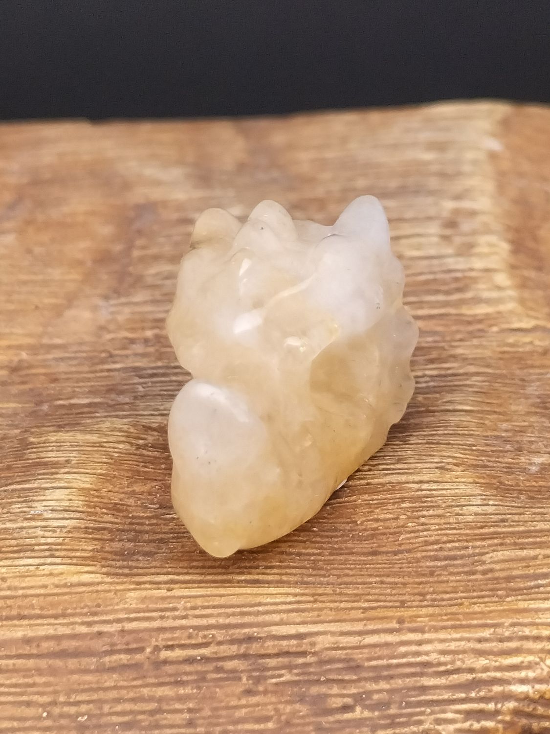Gele calciet mini drakenkop
