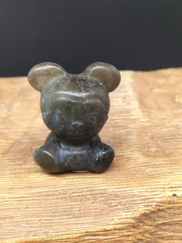 Labradoriet Mickey Mouse