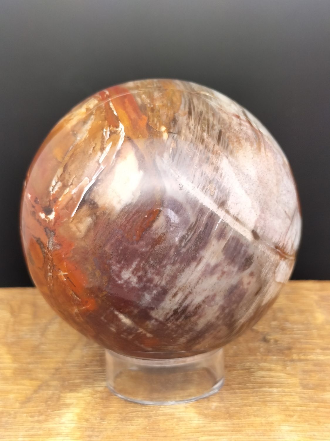 Versteend Hout Bol