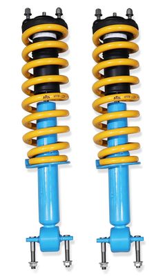 Assembled Struts