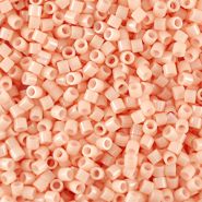 Miyuki beads Delica 15/0