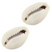 Shell beads