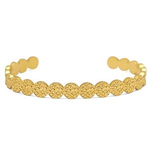 Roestvrij stalen (RVS) Stainless steel armbanden bangle Gold