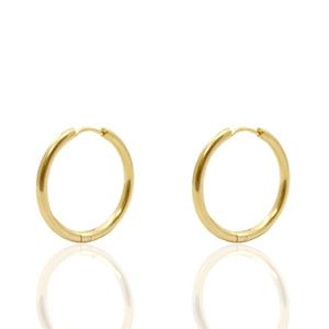 Roestvrij stalen (RVS) Stainless steel oorbellen creolen 17mm Goud