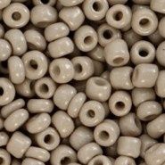 Rocailles 6/0 (4mm) Ash Green Grey, 10 gram