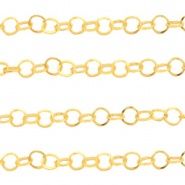 Roestvrij Stalen (RVS) Stainless Steel Onderdelen Jasseron Goud, per 10 cm