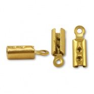 Roestvrij stalen (RVS) Stainless steel veterklemmen Gold, per 2 stuks