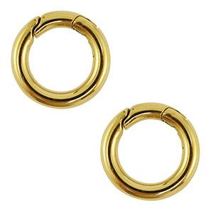 Roestvrij stalen (RVS) Stainless steel clasp rond Gold 16x3 mm, per stuk