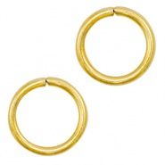 Roestvrij stalen (RVS) Stainless steel montagering 10mm goud