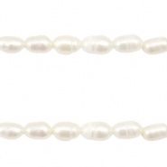Zoetwaterparels rice 7x5mm Natural white, 5 stuks