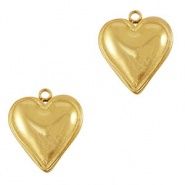 Roestvrij stalen (RVS) Stainless steel bedel hart Gold