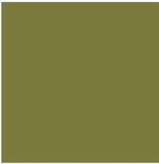 Fake Olive