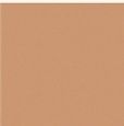 Dark Beige