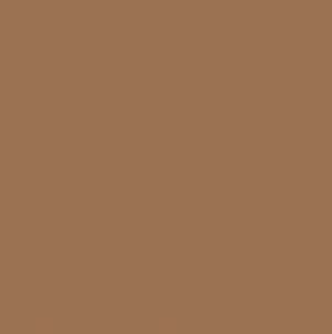 Bricked Brown