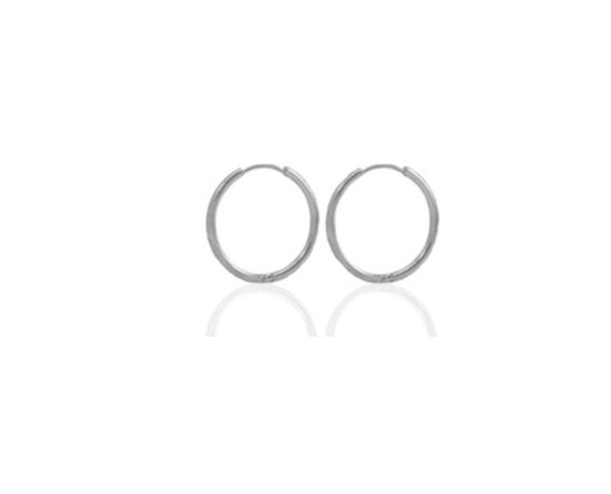 Roestvrij stalen (RVS) Stainless steel oorbellen creolen 13mm Zilver