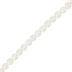 Schelp kralen tube White-sand brown 3x4mm, 15 stuks