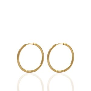 Creolen Roestvrij Staal (RVS) 18mm Goud