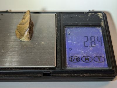 Raw Boulder Opal
