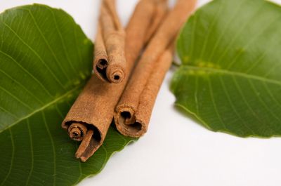 Cassia Leaf  Essential Oil  (Cinnamomum Cassia)
