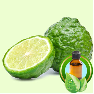 Bergamot Essential Oil  (Citrus Bergamia)