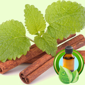 Cinnamon Essential Oil (China) Cinnamonum Cassia
