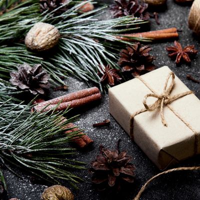 Alpine Cheer Fragrance Oil