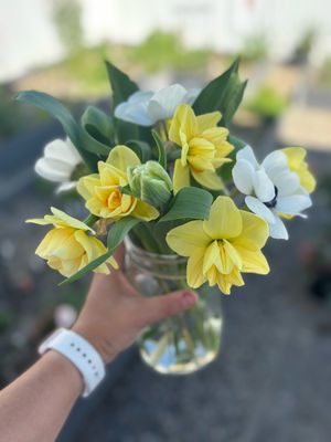 Local flowers: Seasonal bouquet in 16oz mason jar