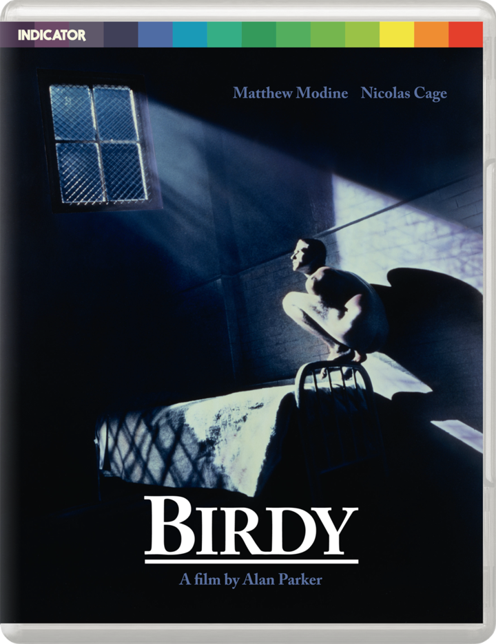 Blu Ray Birdy Indicator