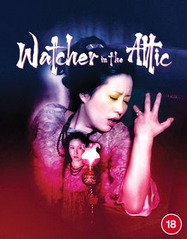 Watcher In The Attic (B)