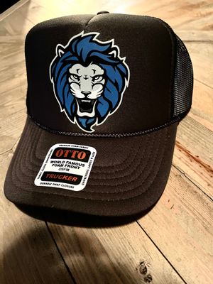 Detroit Lions Hat