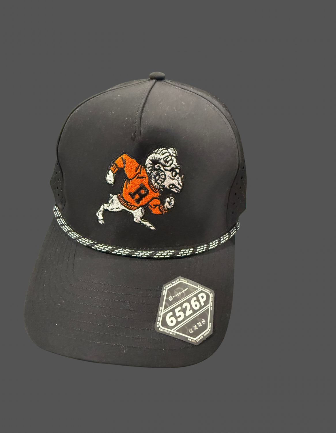 Retro Ram Hat