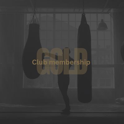 VIVALife Fitness: Gold Club
