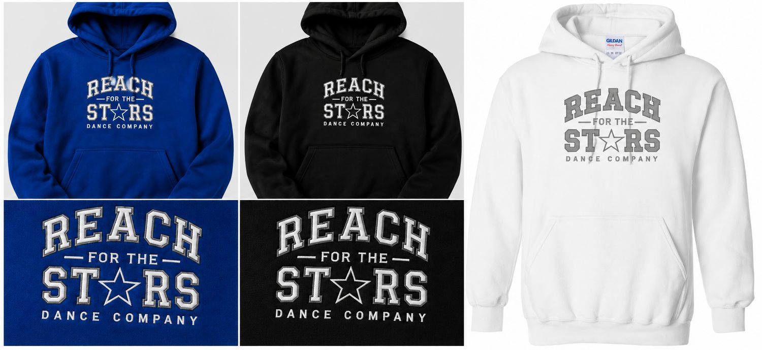 Reach for the Stars Hoodie (Embroidered)