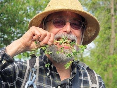 6/24 - Foraging Tour with Expert, Steve Brill