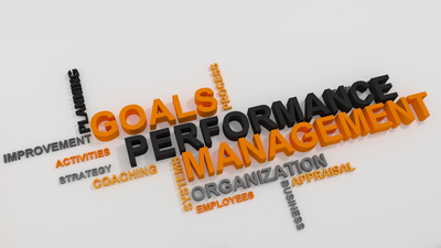 MANAGEMENT FOR THE  BOX TRUCK BUSINESS