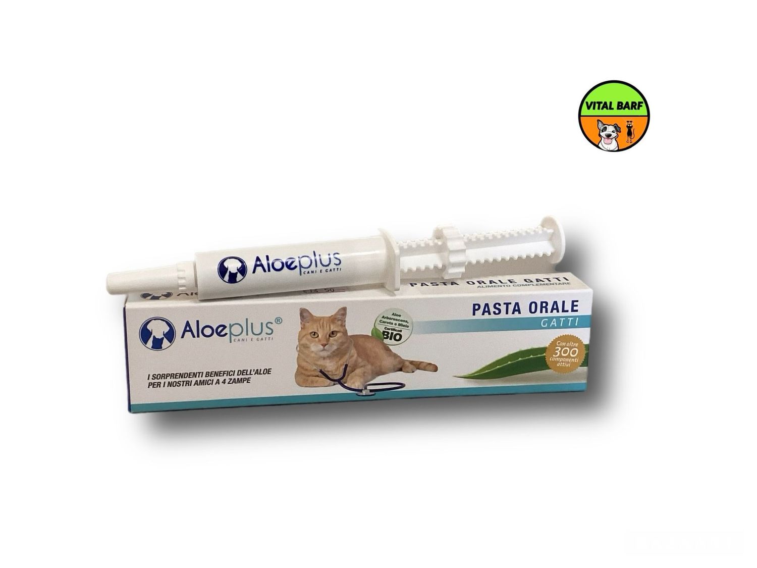 Pasta Orale Gatti