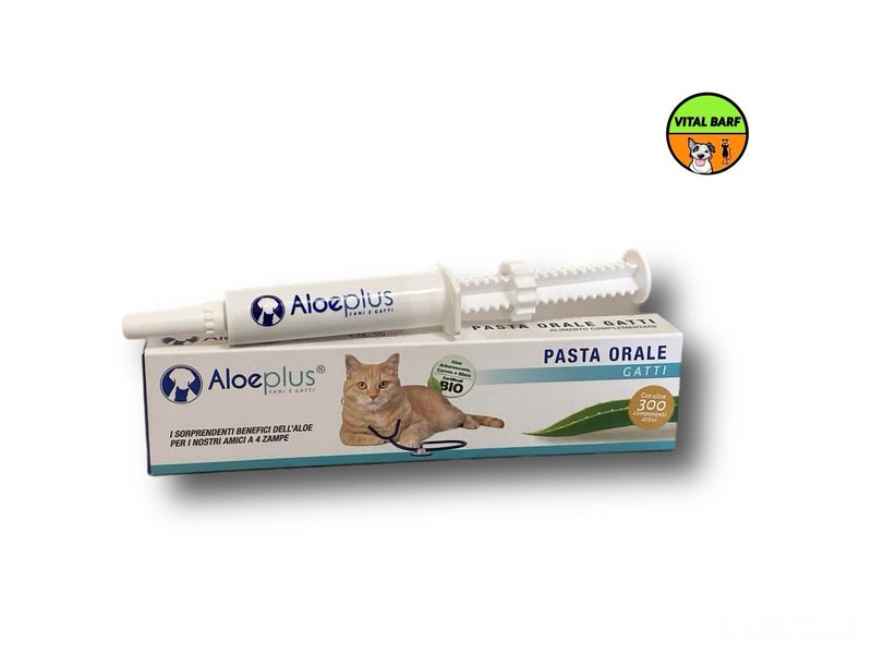 Pasta Orale Gatti