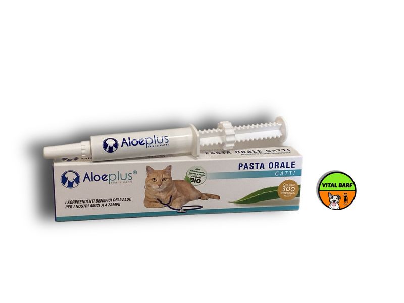 Pasta Orale Gatti